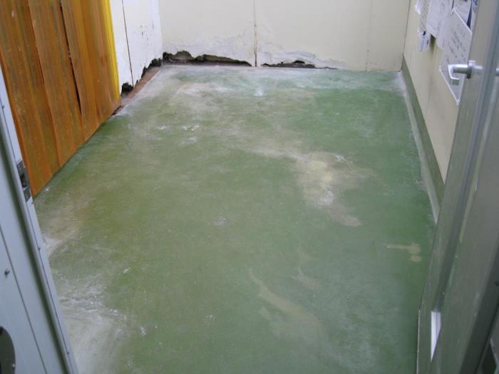 �����ʾ�������